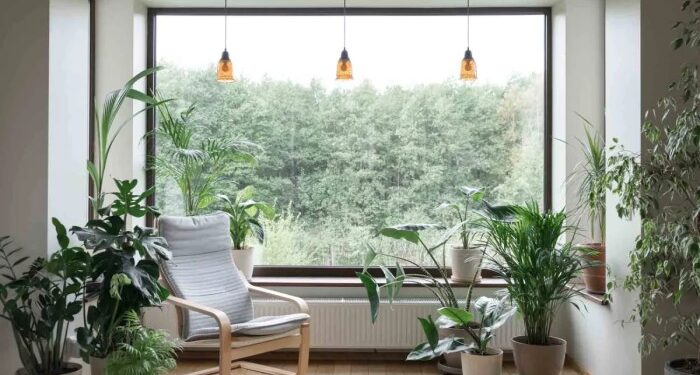 How Much Does a Picture Window Cost to Install or Replace? (2025)